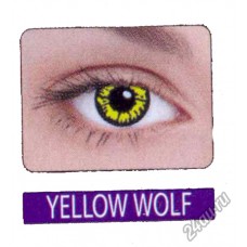 Frutti crazy yellow wolf 