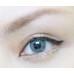 Freshlook colorblends sterling gray 13.8 mm до -8